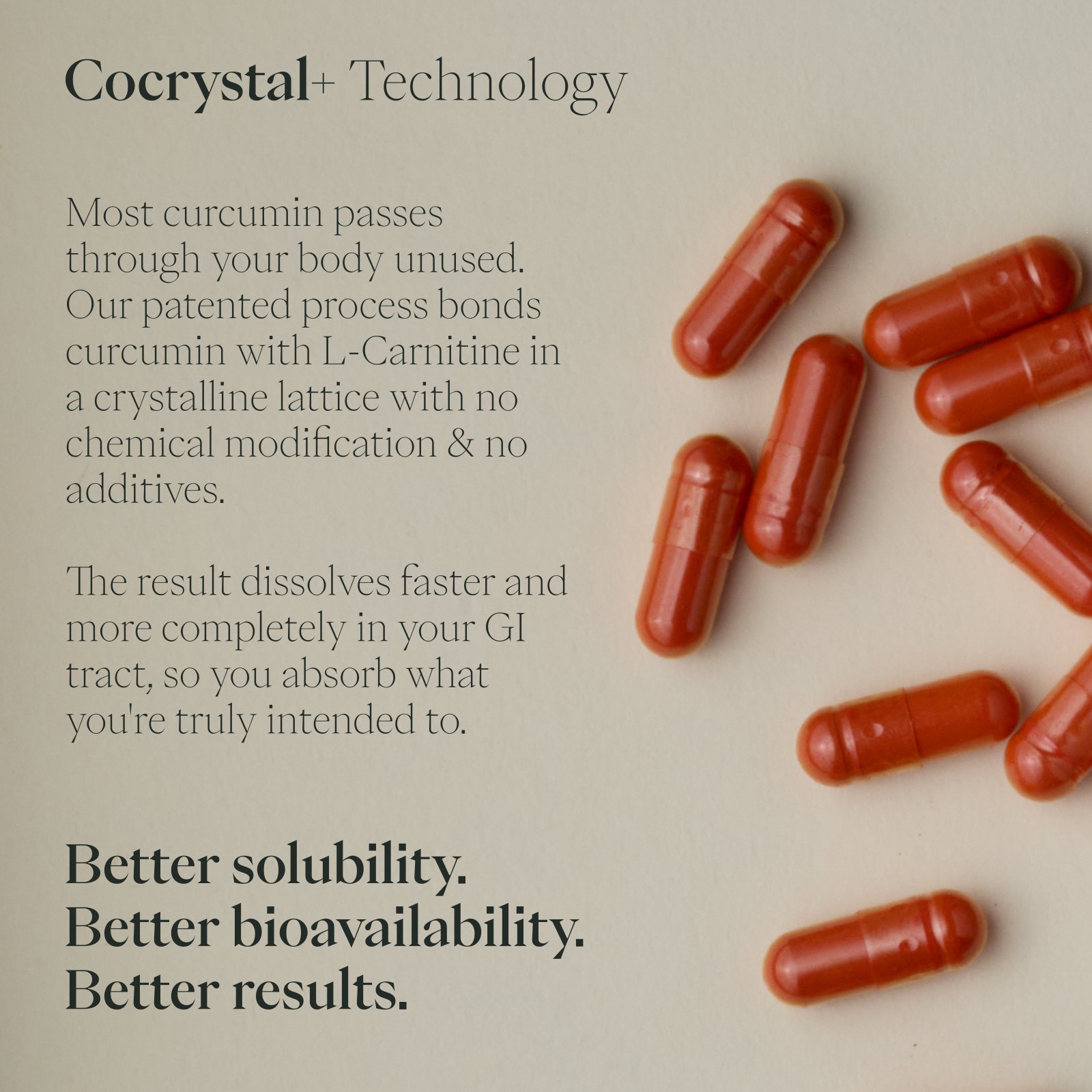 Curcumin Cocrystal+