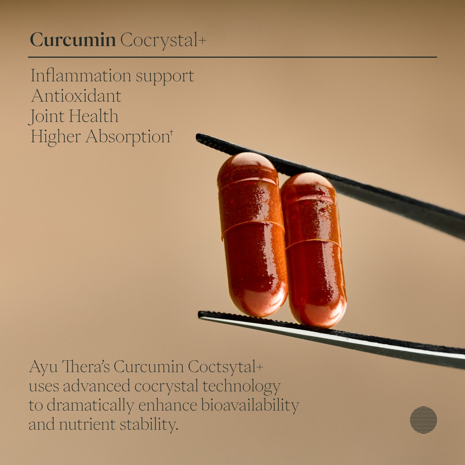 Curcumin Powder